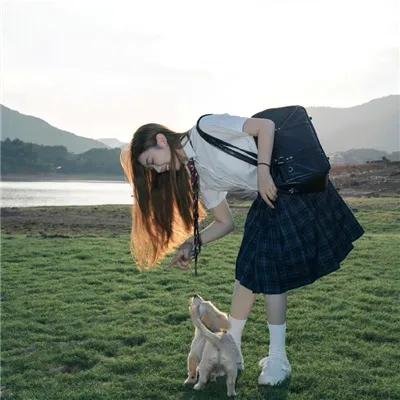 蜘蛛惊