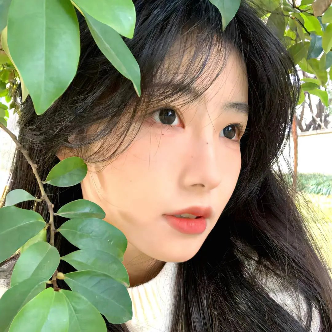 我的姊姊会隐形