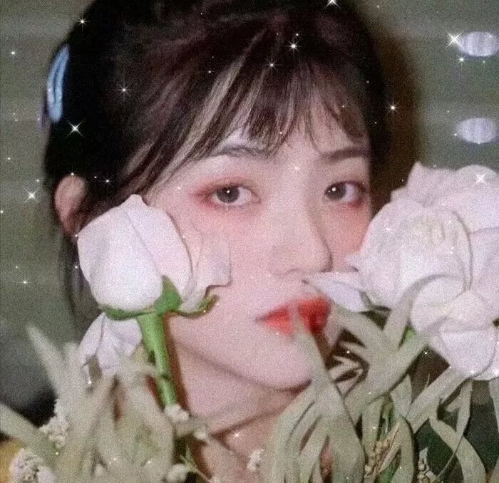 出水芙蓉国语