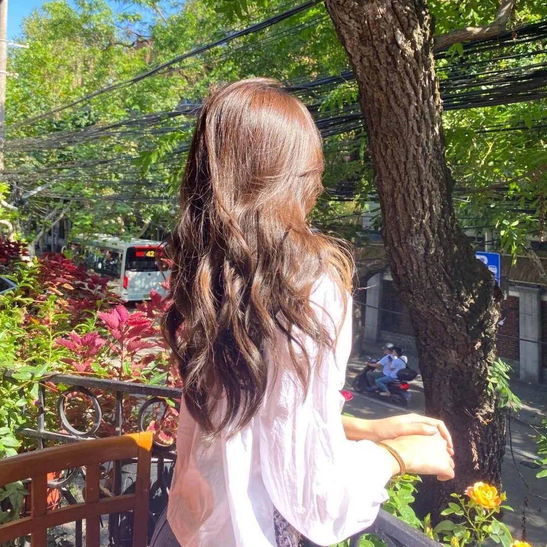 龙与虎